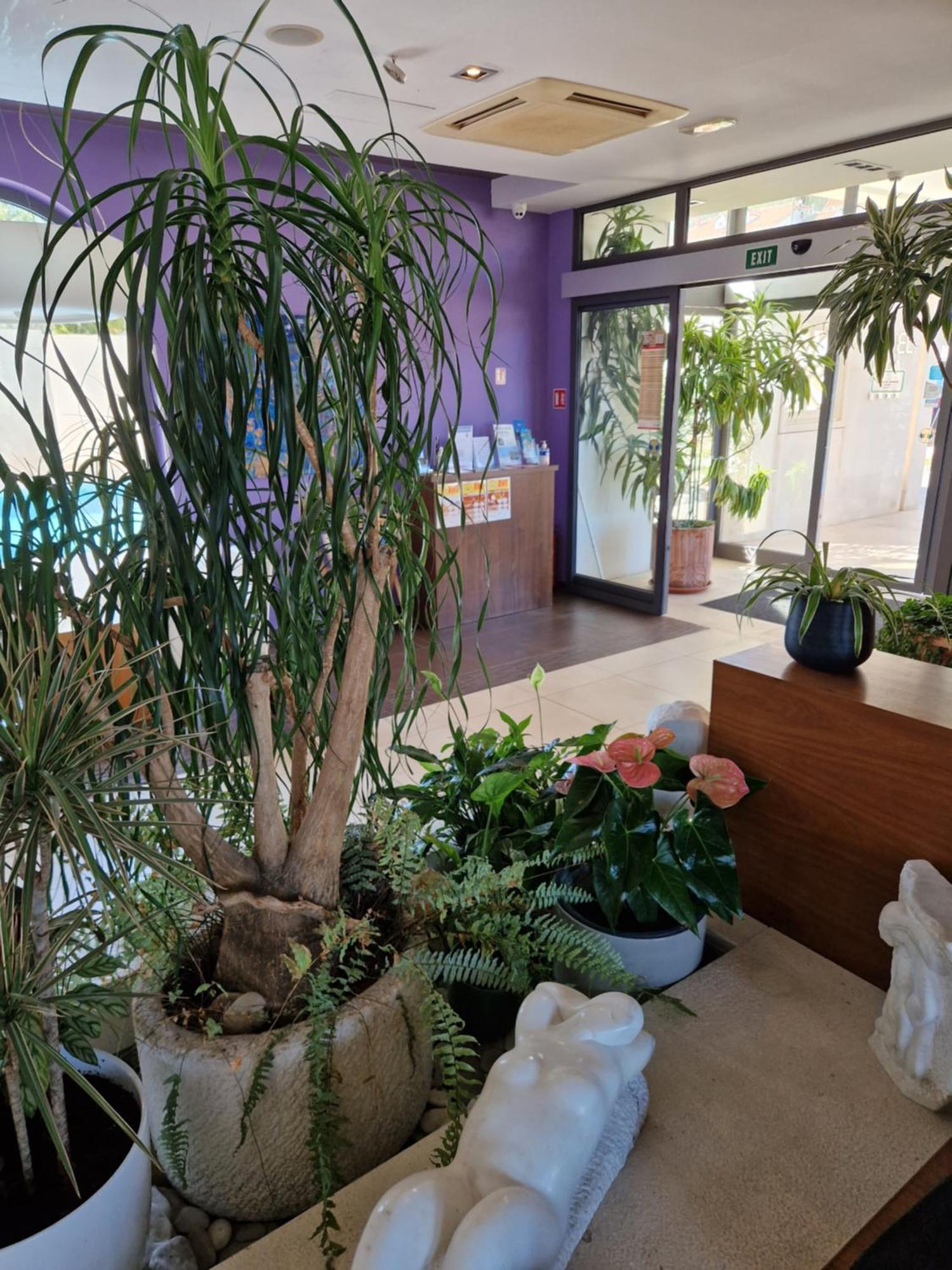Hotel Lipa Postira Ngoại thất bức ảnh